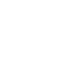 Cat Icon  Font Awesome