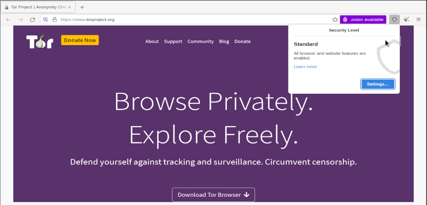 Secure tor browser gidra браузер тор язык gidra